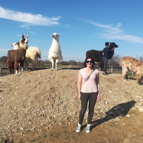 Meet your posher, Ashley - Picture 3 of 4